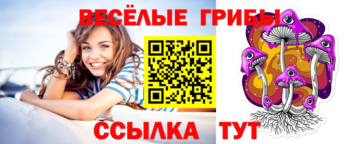 Донецк  цена наркотик  Вход с VPN  Псилоцибиновые грибы прущие грибы 