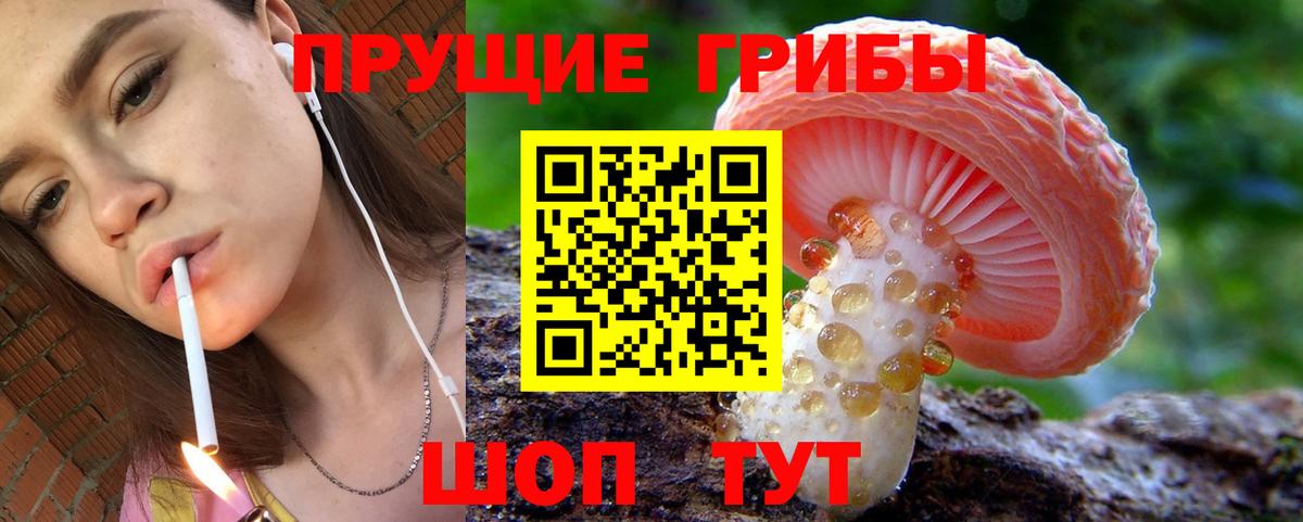 Псилоцибиновые грибы GOLDEN TEACHER Донецк